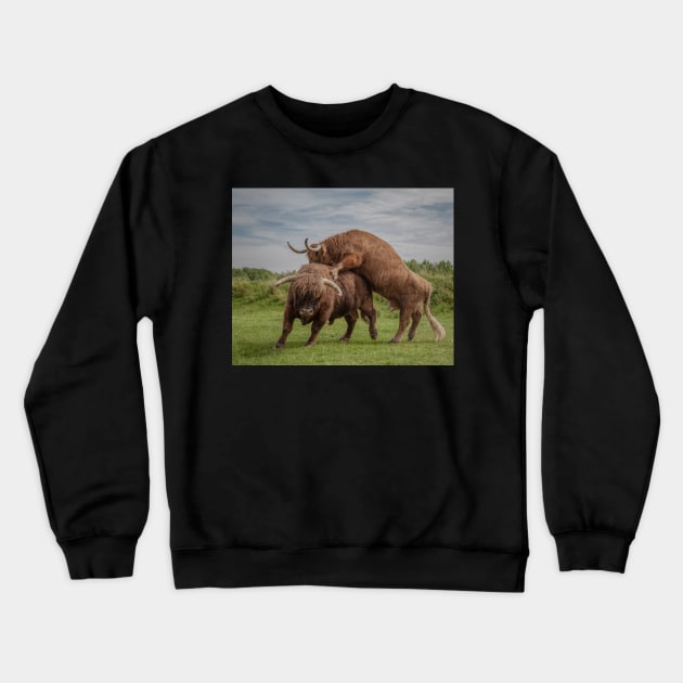 Highland Cows Crewneck Sweatshirt by hton